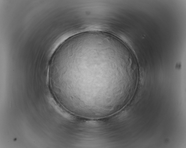 X0000111241227200907091351