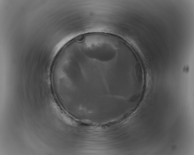 X0000111241230200907091351