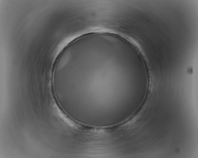 X0000111241231200907091351