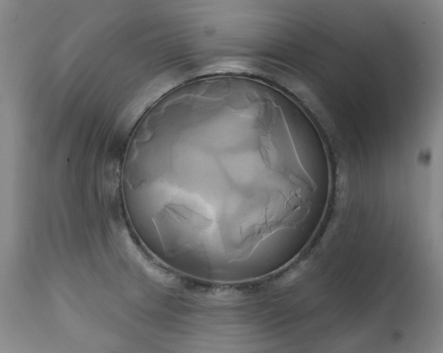 X0000111241233200907091351