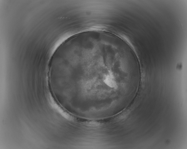 X0000111241235200907091351