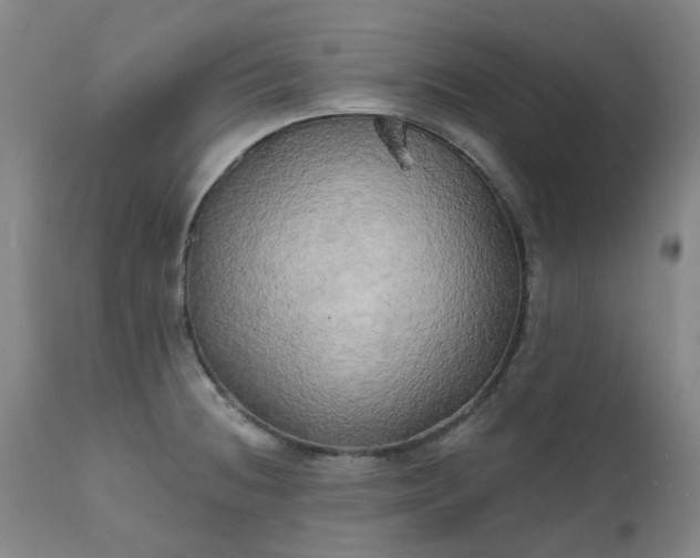 X0000111241236200907091351