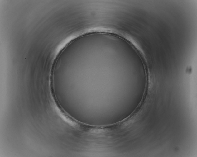 X0000111241237200907091351