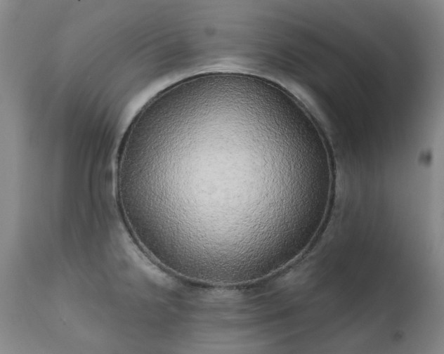 X0000111241238200907091351