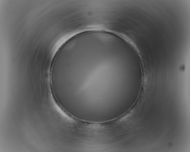 X0000111241239200907091351