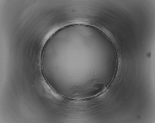 X0000111241240200907091351