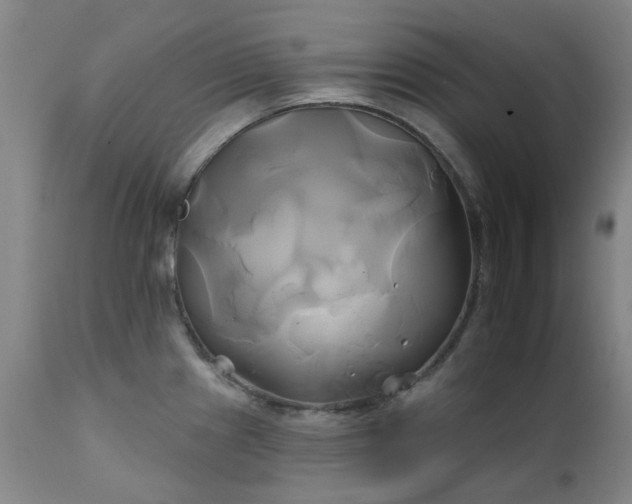 X0000111241241200907091351