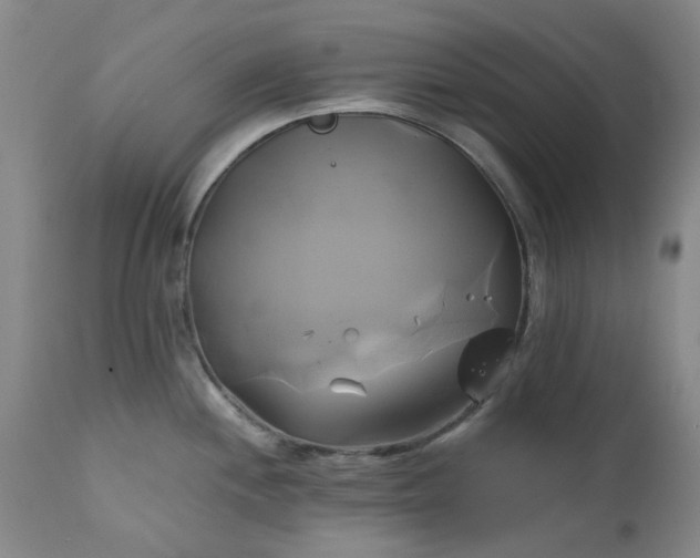 X0000111241244200907091351