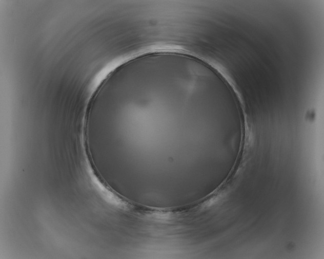 X0000111241245200907091351