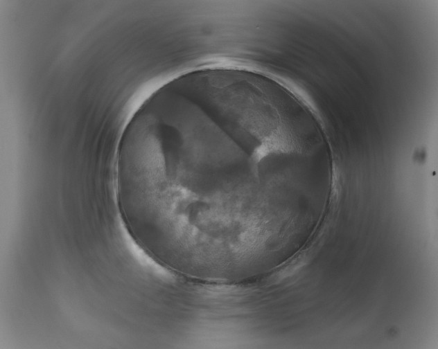 X0000111241247200907091351