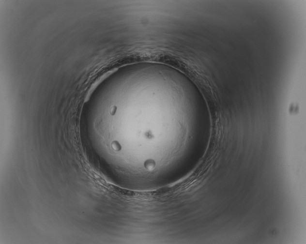 X0000111241249200907091351