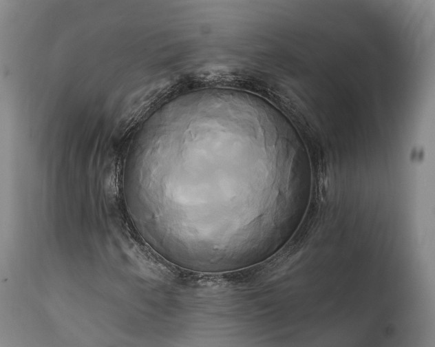 X0000111241250200907091351