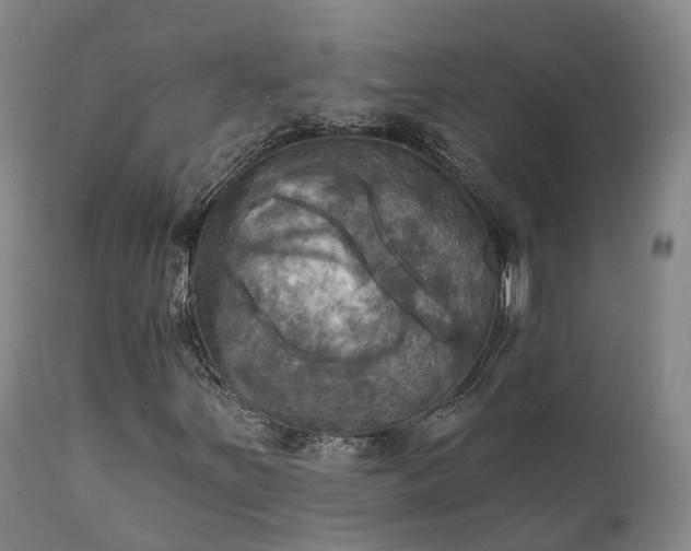 X0000111241251200907091351