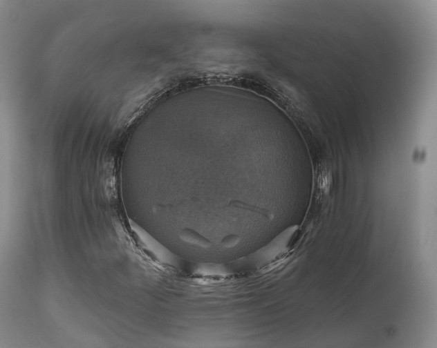 X0000111241252200907091351
