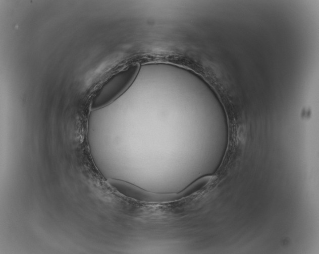 X0000111241253200907091351