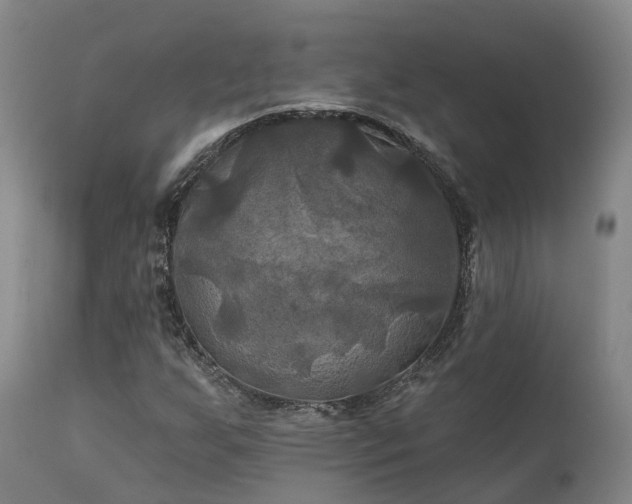 X0000111241255200907091351
