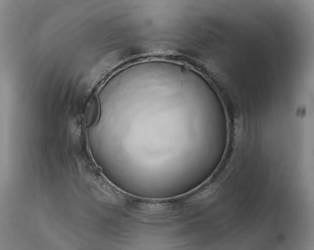 X0000111241257200907091351