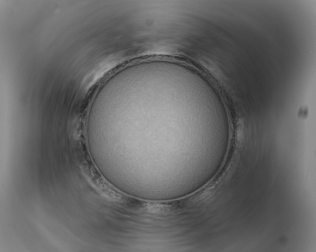 X0000111241258200907091350