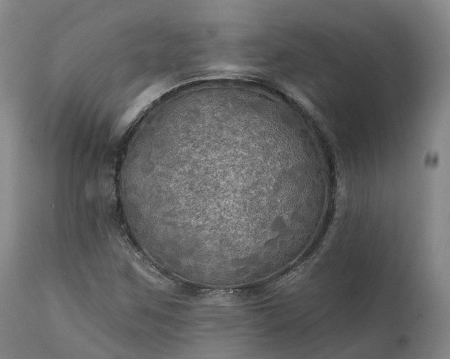 X0000111241259200907091350