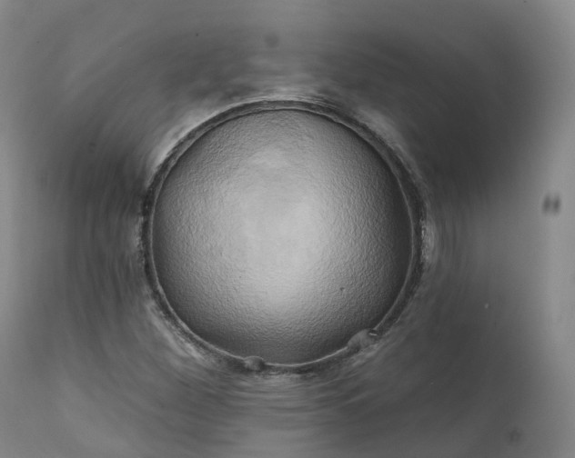 X0000111241260200907091350