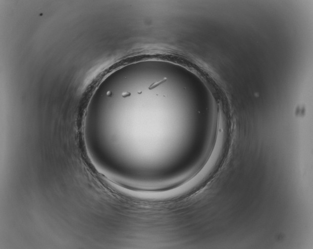 X0000111241261200907091350