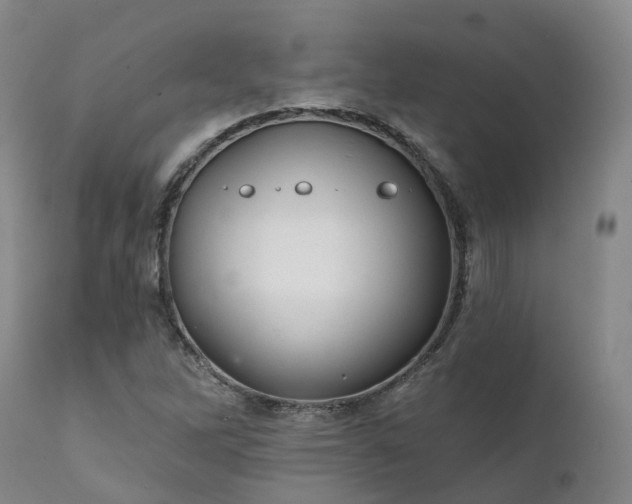 X0000111241262200907091350