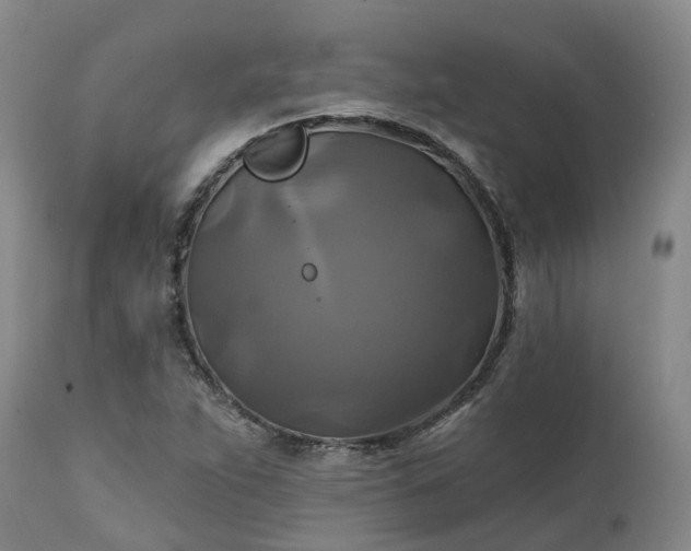 X0000111241263200907091350