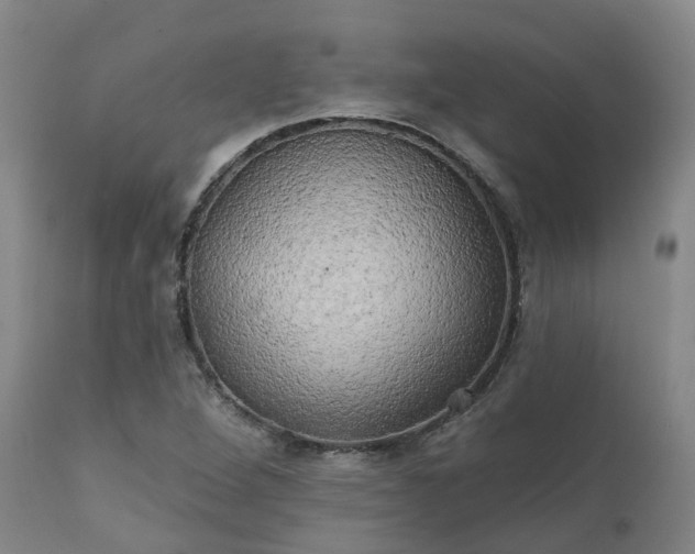 X0000111241264200907091350