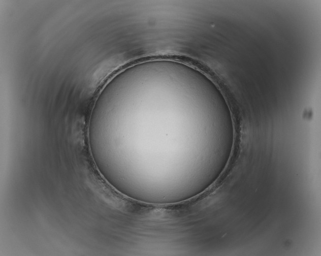X0000111241265200907091350