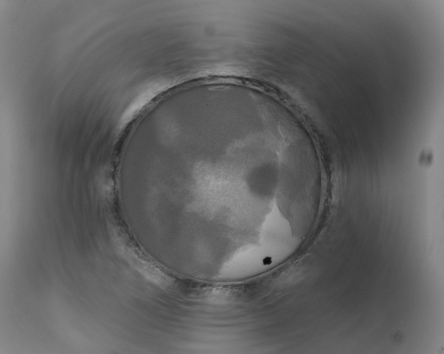X0000111241266200907091350
