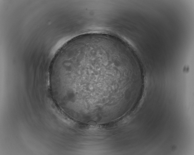 X0000111241267200907091350