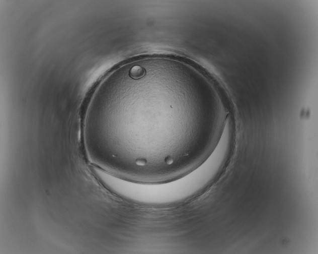 X0000111241269200907091350