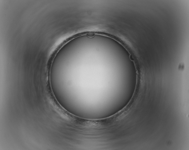 X0000111241270200907091350
