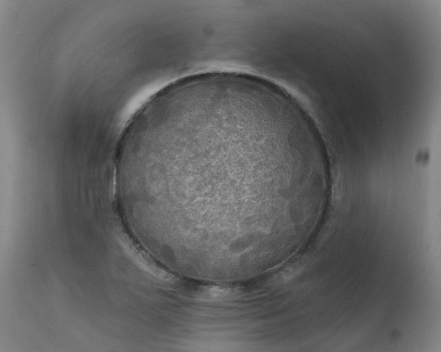 X0000111241271200907091350