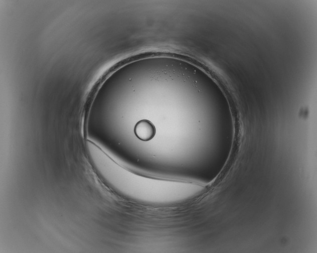 X0000111241272200907091350