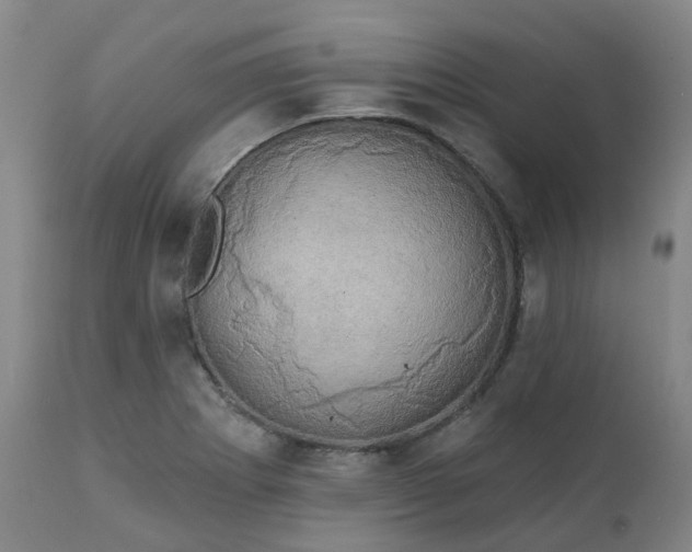X0000111241273200907091350