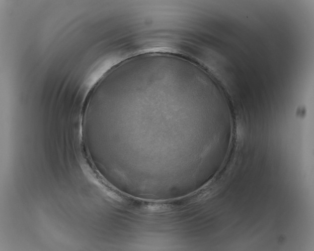 X0000111241274200907091350