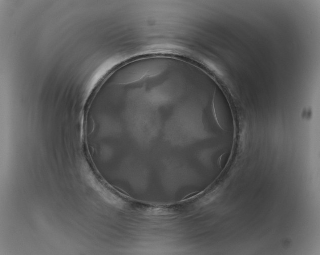 X0000111241275200907091350