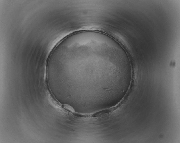 X0000111241276200907091350