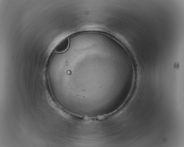 X0000111241277200907091350