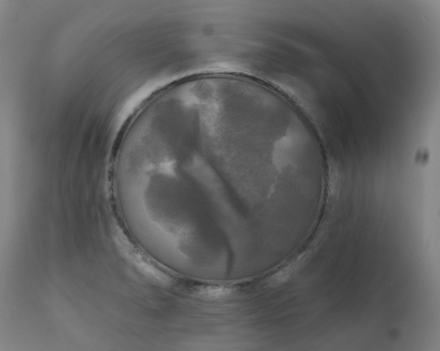 X0000111241278200907091350