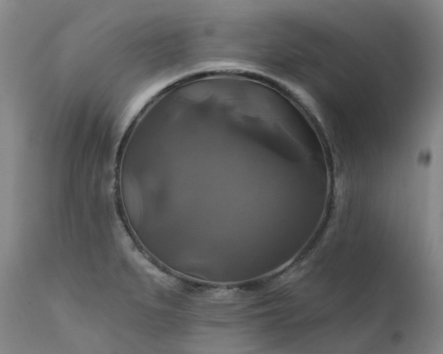 X0000111241279200907091350