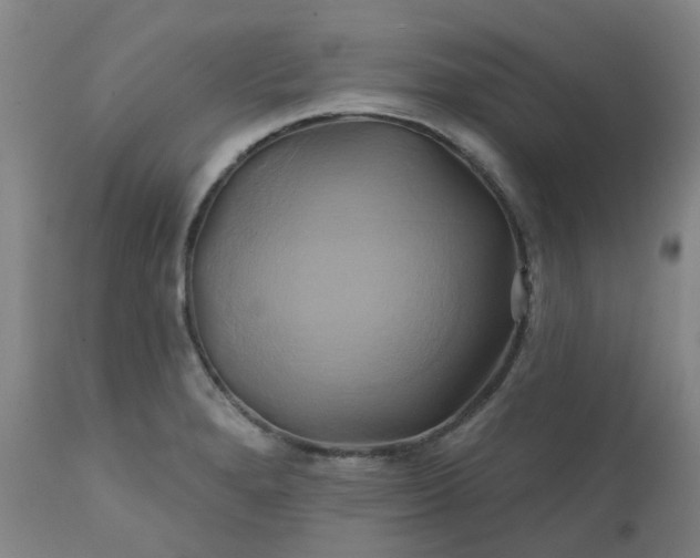 X0000111241280200907091350