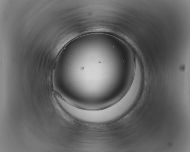 X0000111241281200907091350