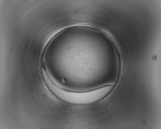 X0000111241284200907091350