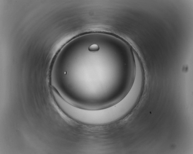 X0000111241285200907091350