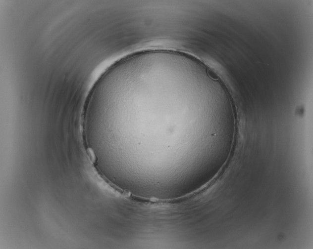 X0000111241288200907091350
