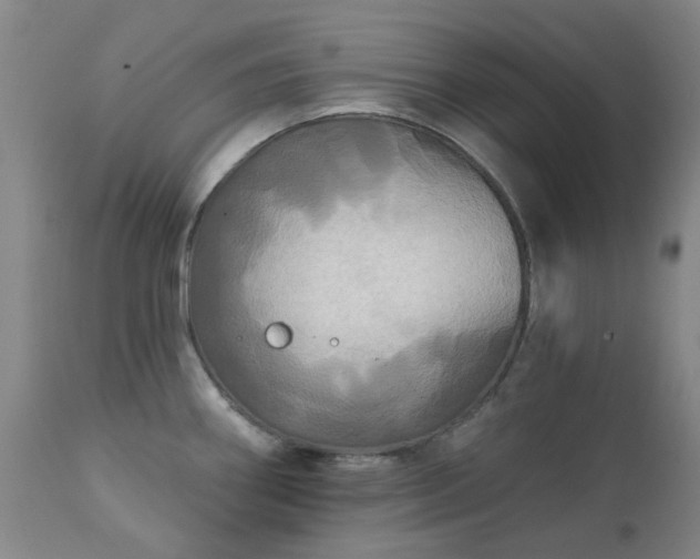 X0000111241290200907091350
