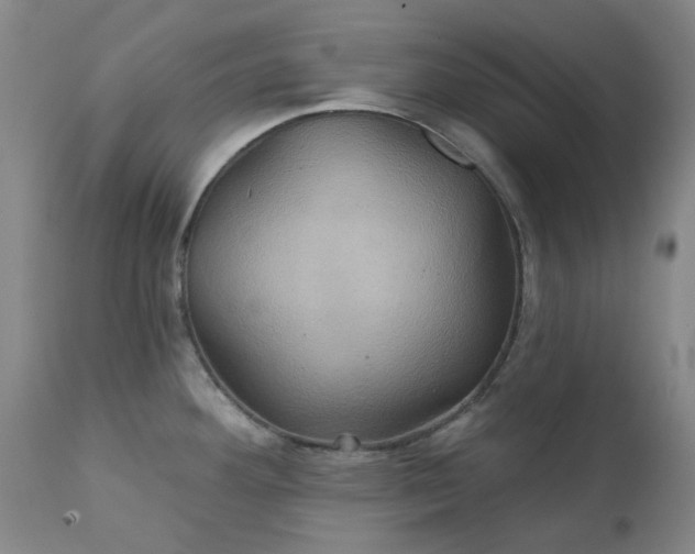 X0000111241292200907091350