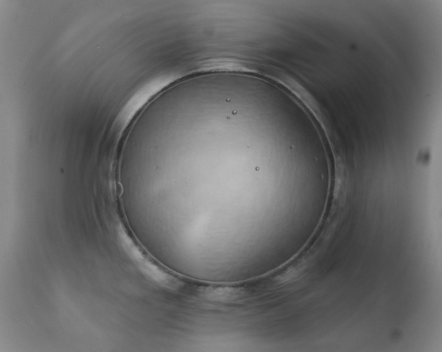 X0000111241293200907091350